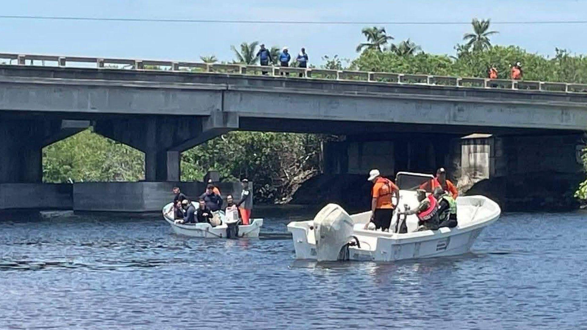 Niño Originario de Guanajuato Muere al Ser Arrastrado por un Cocodrilo ...