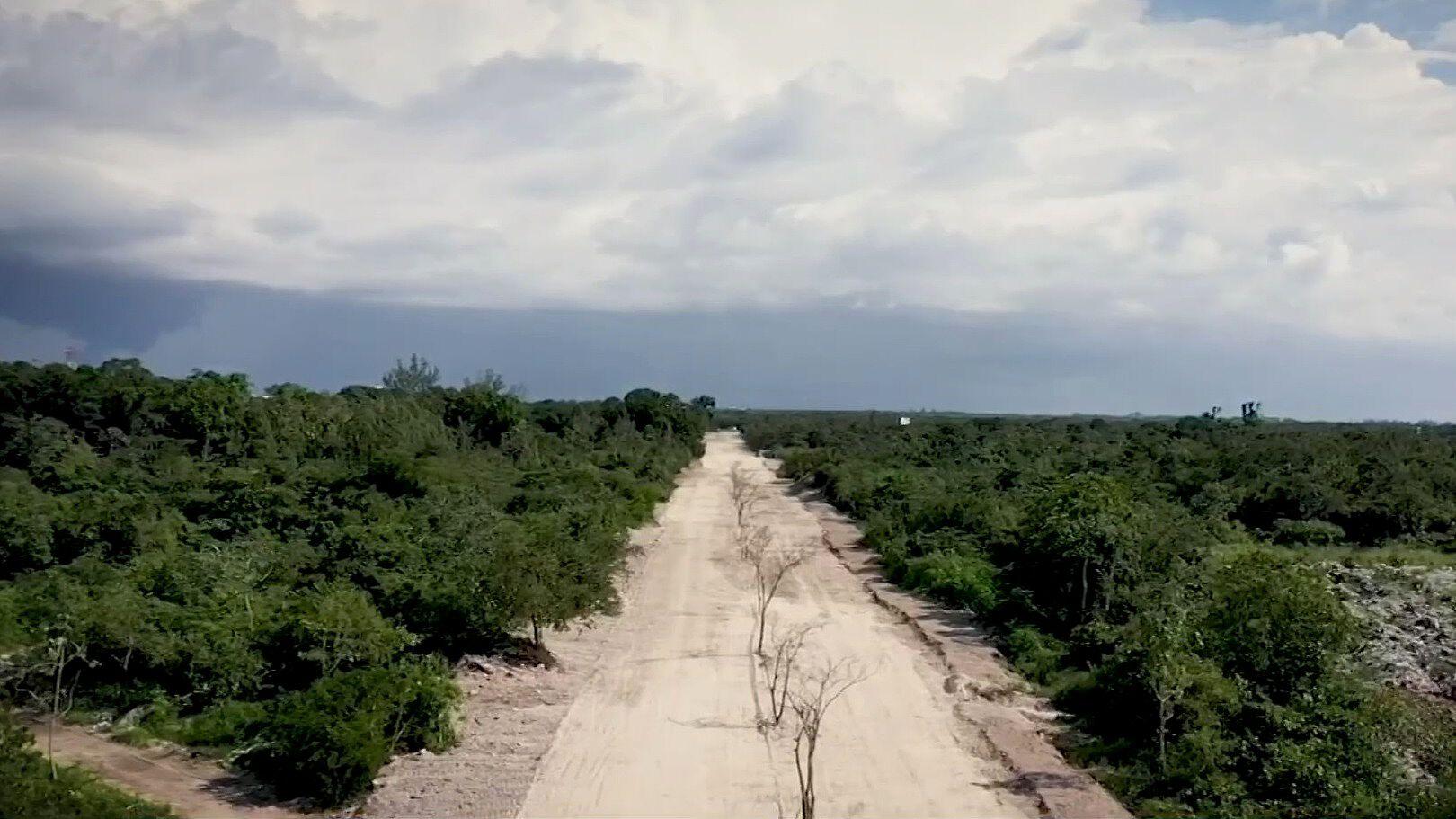 Juez concede suspensión definitiva al tramo 5 del Tren Maya | N+