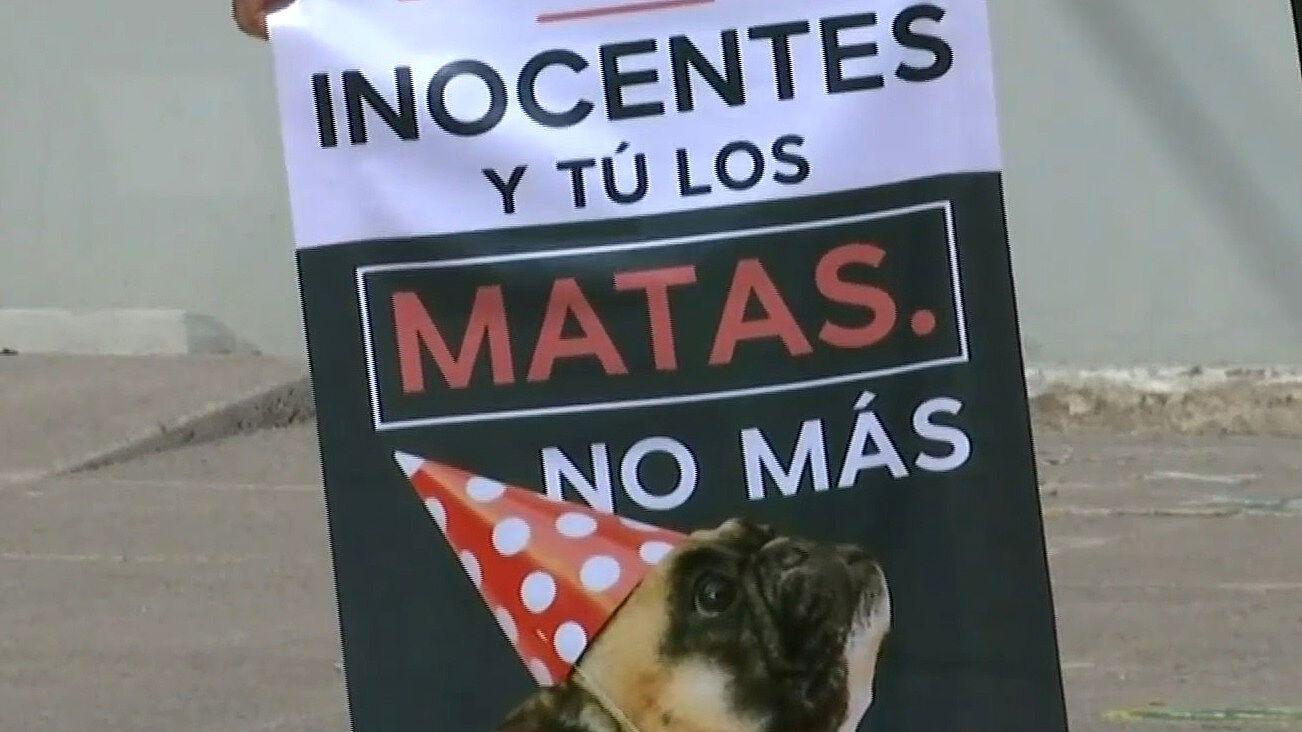 Histórica Sentencia Dan 10 Años De Cárcel A Asesino De Perritos Athos Y Tango 8433