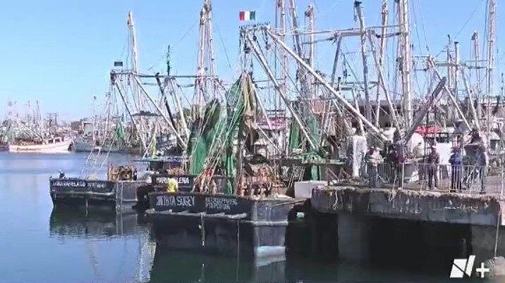 Prácticas De Pesca Sostenibles Que Protegen Los Ecosistemas Marinos 1079150 62954